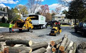 Kenwood Estates, FL Tree Services Company